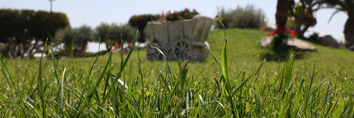 Il giardino del Giardino della Contea